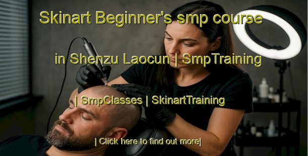 Skinart Beginner's smp course in Shenzu Laocun | SmpTraining | SmpClasses | SkinartTraining-China